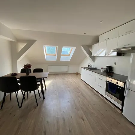 Appartement Cerny Tulipan - 5