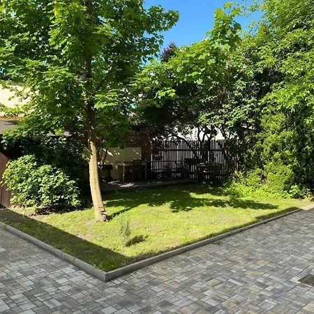 černý Tulipán - 5 Apartmán Plzeň