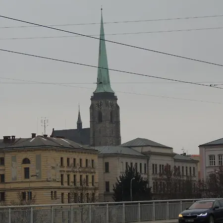 Cerny Tulipan - 5 Plzeň