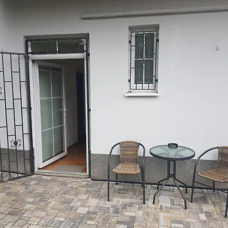 Cerny Tulipan - 5 Plzeň