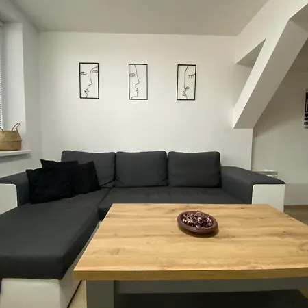 černý Tulipán - 5