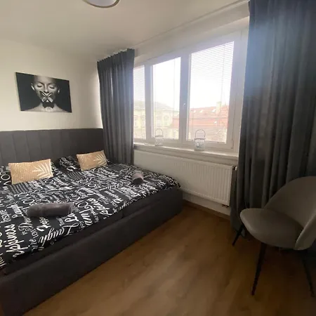 Cerny Tulipan - 5 Apartment Plzen