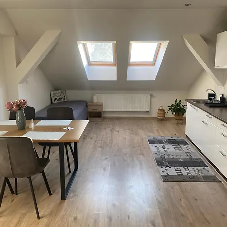 Appartement Cerny Tulipan - 5