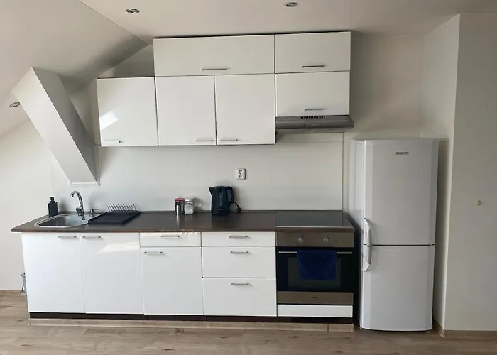 černý Tulipán - 5