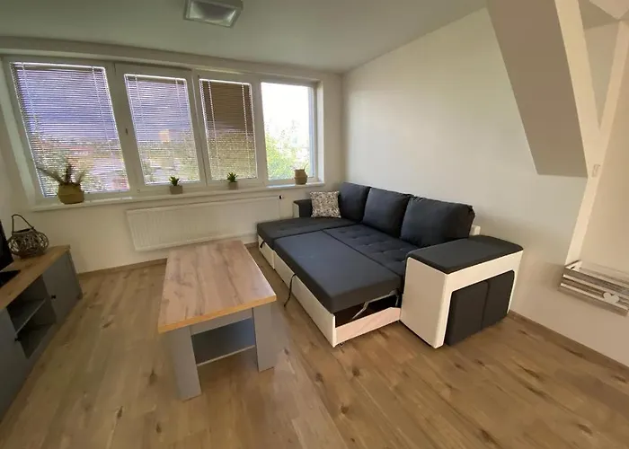 černý Tulipán - 5