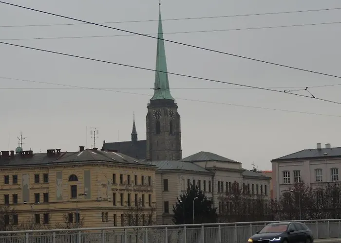 černý Tulipán - 5 Plzeň