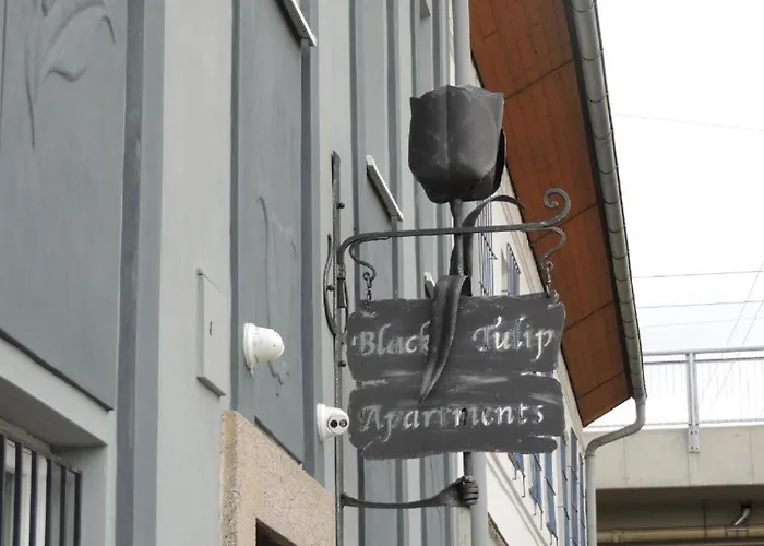 アパート Cerny Tulipan - 5 プルゼニ