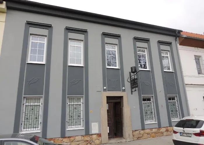 Apartamento černý Tulipán - 5 Plzeň