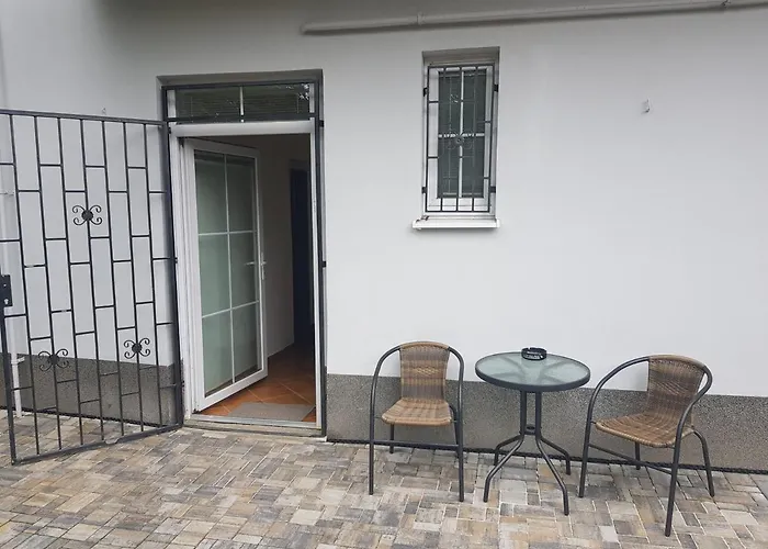 černý Tulipán - 5 Plzeň