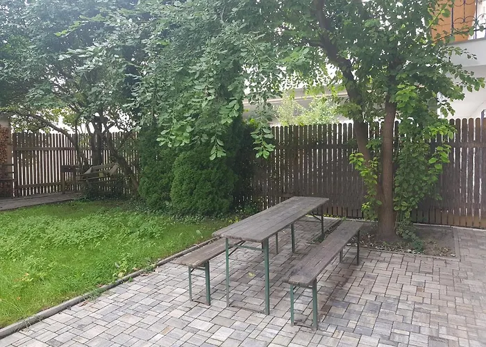 černý Tulipán - 5 Plzeň