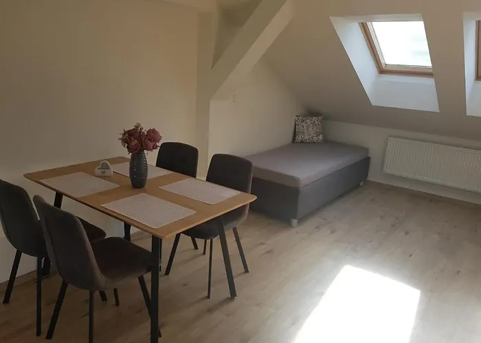 černý Tulipán - 5 Plzeň