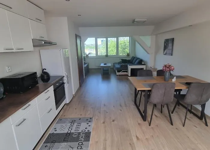 Cerny Tulipan - 5 アパート *