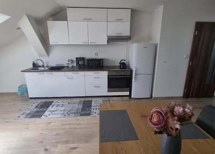 Cerny Tulipan - 5 アパート *