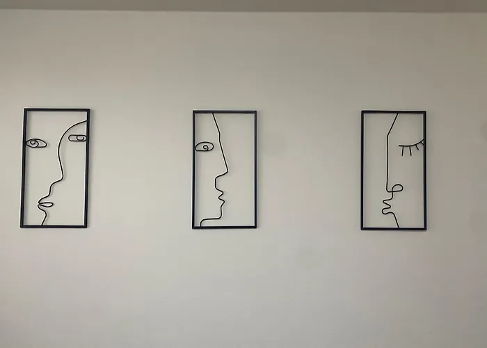 černý Tulipán - 5 Plzeň