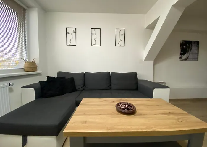 černý Tulipán - 5