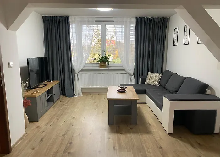 アパート Cerny Tulipan - 5 プルゼニ